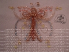 koralky-motyl